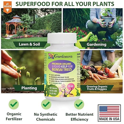 GARDENERA Premium Organic Seaweed & Kelp Superfood for Bonsai Trees Plants - 8 oz - Liquid Kelp Fertilizer Concentrate (Makes 45 Gallons)