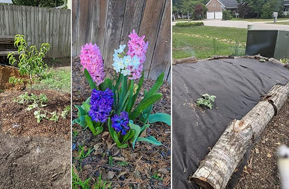 20 QT Professional Grade Horticultural Organic Vermiculite (20 QT, Vermiculite)