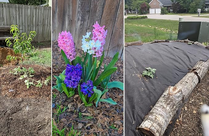 5 QT Professional Grade Horticultural Organic Vermiculite (5 QT, Vermiculite)