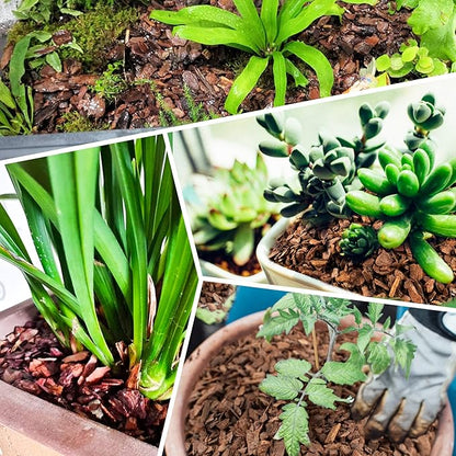 18qt Organic Orchid Potting Bark -Natural Mulch for Potted Plants, Root Development of Orchid Plants and Garden Soil Amendment Mix