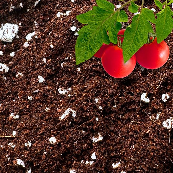 Coco Perlite - Coco Coir Perlite Mix - 70/30 Growing Media - Hydroponic, Indoor & Outdoor, Grow Bags & House Plants (30 quarts - 1 cu ft)