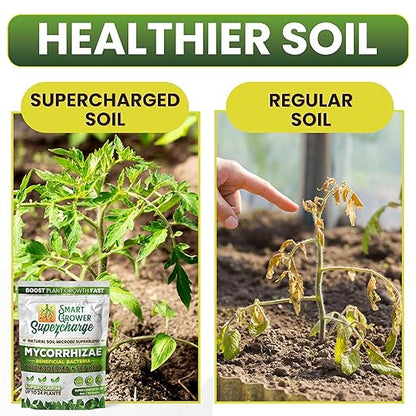 Mycorrhizal Fungi with Beneficial Bacteria, Trichoderma, Sea Kelp, Molasses, Yucca, Smart Grower Supercharge Plant Root Enhancer 8oz Super Concentrate Powder Makes 100 Gallons