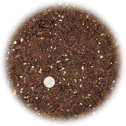 GARDENERA Money Tree Potting Soil Mix for Planting or Repotting Guiana Chestnut, Soil Blended to Properly Grow Money Tree Plants (3 Quart Bag)