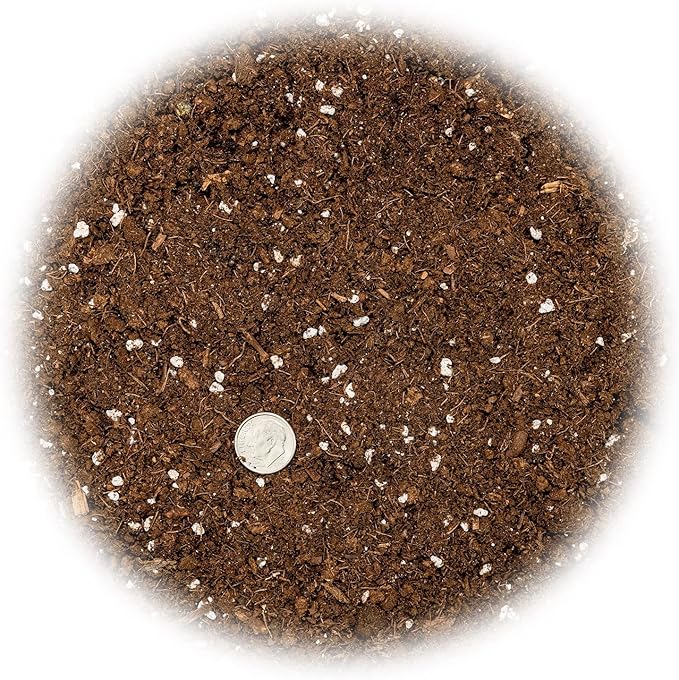 GARDENERA Money Tree Potting Soil - 10 Quart - Soil Mix for Planting or Repotting Guiana Chestnut, Blended Mix to Properly Grow Money Tree Plants (2 Bags of 5 Quart)