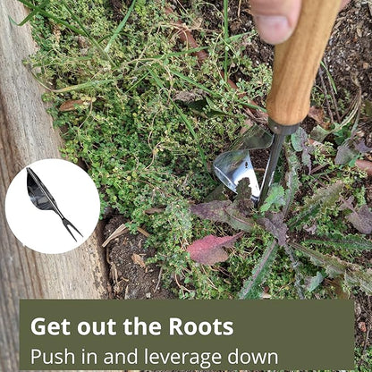 Weed Puller and Patio Paver Weeding Tool Set - Two Classic, Heavy Duty, Stainless Steel Weeding Tools with Beautiful Wooden Handles - by Truly Garden