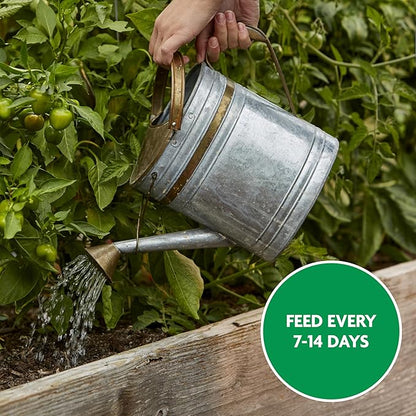 Miracle-Gro Water Soluble Tomato Plant Food