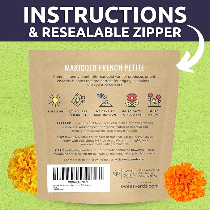 Marigold French Petite - Large 1/2 Ounce Packet - 4,000 Flower Seeds for Planting - Tagetes patula