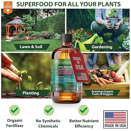 GARDENERA Premium Organic Seaweed & Kelp Superfood for Palm Tree Plants - 32 oz - Liquid Kelp Fertilizer Concentrate (Makes 180 Gallons)