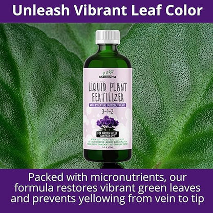 3-1-2 African Violet Fertilizer for Indoor Plants: Liquid Fertilizer with Essential Micronutrients Drops - Plant Food for African Violets (32 OZ)