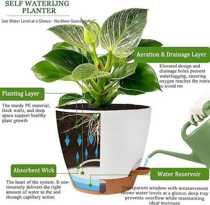 Self Watering Pots for Inoor Ourdoor Plants 8/7/6.5/6/5 Inch Plastic Planters with Drainage Holes & Water Level Indicator, Decorative House Flower Nursery Planting Pots with Saucers (White)