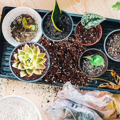 9 Quarts Perlite for Plant Soil - Amendment for Potting Soil, Improves Drainage and Aeration for Soil,Better for Root Growth…