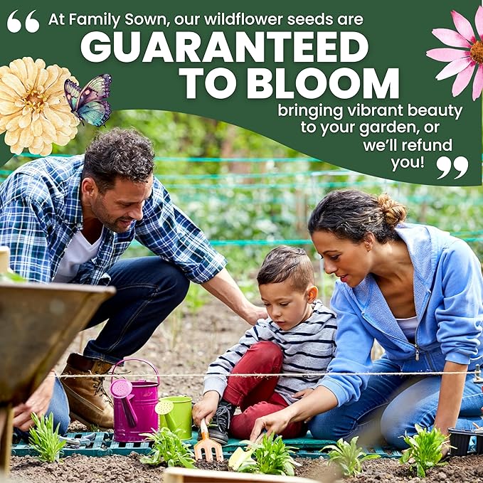 Perennial Species Mix - Large 5g Envelope - 2,500 Flower Seeds for Planting - Wildflower Mix