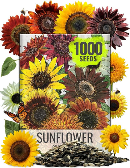Seed Needs Sunflower Seeds for Planting The Original Crazy Blend | 1 Ounce 15+ Heirloom Varieties Open Pollinated & Untreated | Resealable Bulk Package Multicolored Blooms Flower Seeds