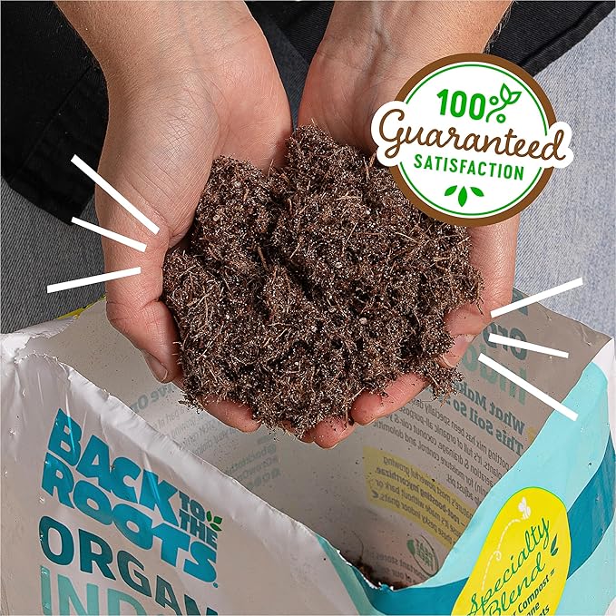 Back to The Roots 100% Organic Indoor Potting Mix (6 Quart), Promotes Healthy Houseplant Growth, Made in The USA