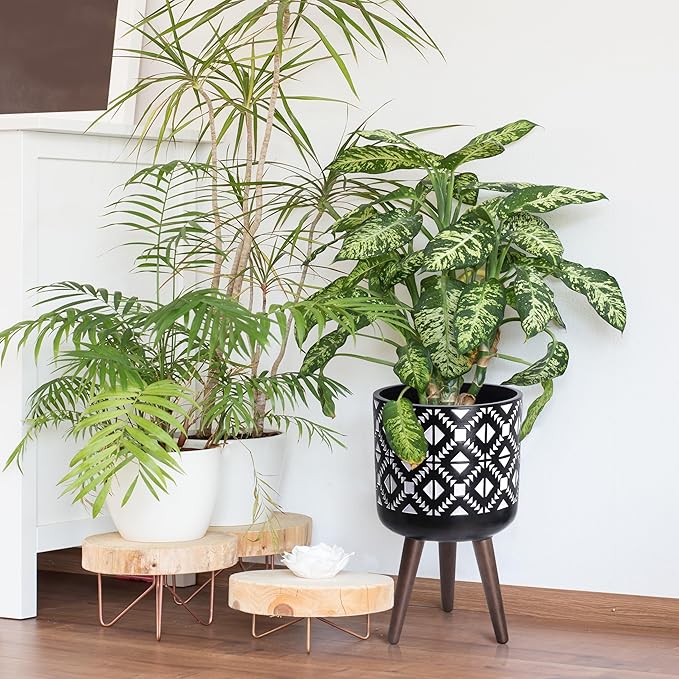 D'vine Dev 10 Inch Planter Pot with Stand, Mid-Century Tall Plant Pot with Legs for Indoor Plants, White/Black, 88-G-B-4