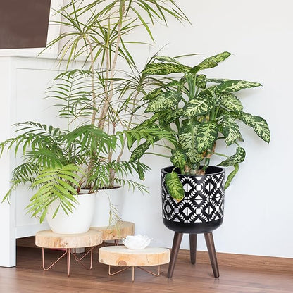 D'vine Dev 10 Inch Planter Pot with Stand, Mid-Century Tall Plant Pot with Legs for Indoor Plants, White/Black, 88-G-B-4