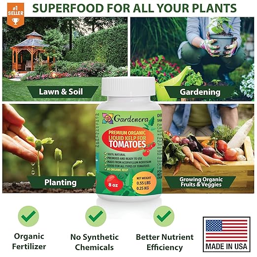 GARDENERA Premium Organic Seaweed & Kelp Superfood for Tomato Plants - 8 oz - Liquid Kelp Fertilizer Concentrate (Makes 45 Gallons)