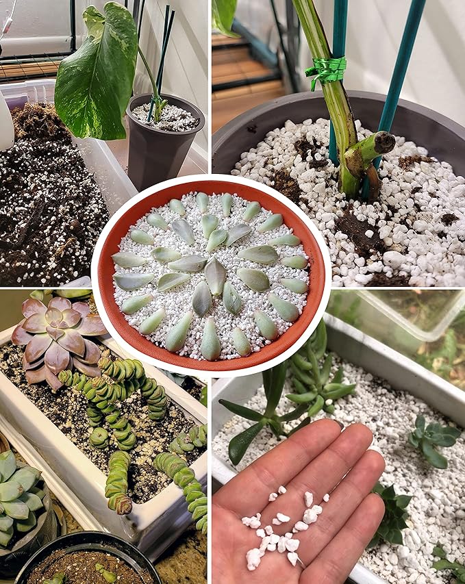 30 QT Professional Grade Horticultural Organic Perlite (30 QT, Perlite)