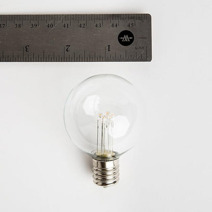 Hometown Evolution, Inc. 25 Foot C9 Commercial LED G50 Globe String Lights with 20 LED G50 Clear 2 Inch .6 Watt Bulbs and Black Wire