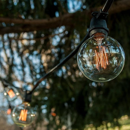 Hometown Evolution, Inc. Commercial Edison Bulb Outdoor String Lights with Hand-Threaded Filament (G60 Lantern Edison - Commercial Black Wire, 25 ft)
