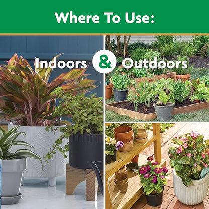 Miracle-Gro Water Soluble All Purpose Plant Food, For All Indoor or Outdoor Plants, Roses, Flowers, Vegetables, Houseplants, Trees, and Shrubs, 1.5 lbs