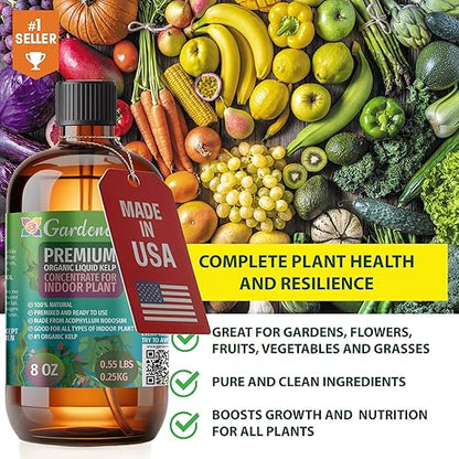 GARDENERA Premium Organic Seaweed & Kelp Superfood for Lime Plants - 8 oz - Liquid Kelp Fertilizer Concentrate (Makes 45 Gallons)