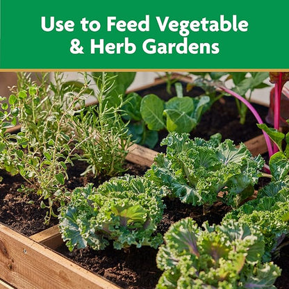 Miracle-Gro Water Soluble Plant Food Vegetables & Herbs 2 lbs., 2-Pack