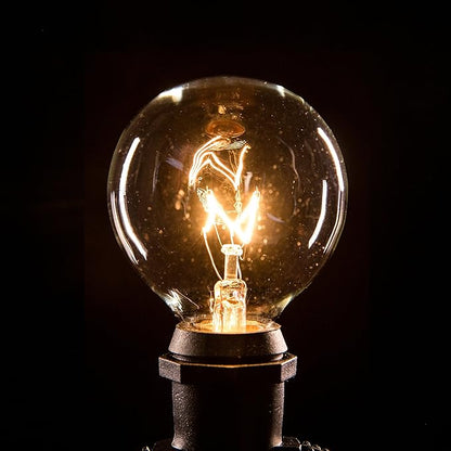 Hometown Evolution, Inc. 25 Foot C9 Commercial Exterior Globe String Lights with 20 G50 2 Inch Clear Bulbs (Black Wire) for Weatherproof Heavy Duty Vintage Outside Lighting