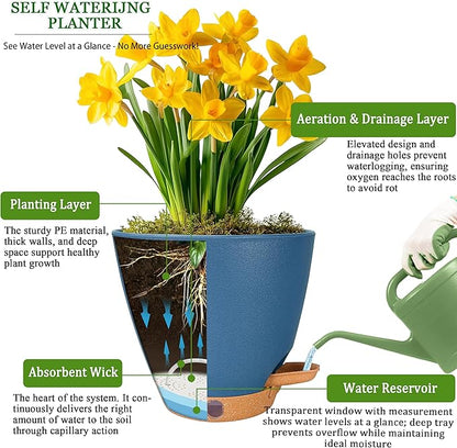 6 Inch Self Watering Pots for Indoor Plants (5-Pack) – Small Plastic Planters with Water Window, Drainage Holes & Trays, Indoor Outdoor Flower Pots for Herbs, Succulents, Home Garden Decor (Navy Blue)