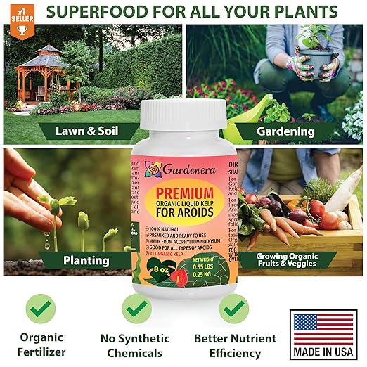 GARDENERA Premium Organic Seaweed & Kelp Superfood for AROID Plants - 32 oz - Liquid Kelp Fertilizer Concentrate (Makes 180 Gallons)