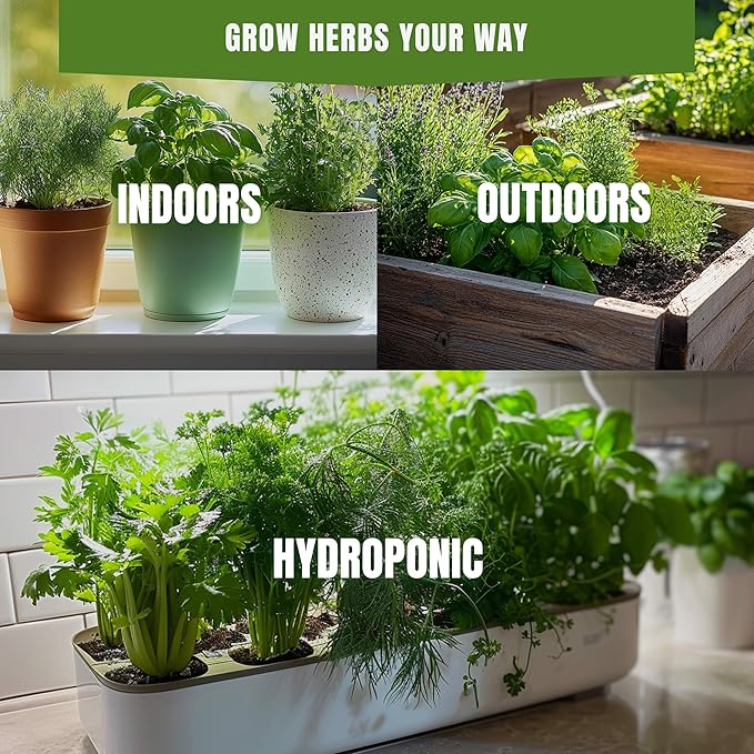 Fall & Winter Summer Savory Seeds for Indoor & Outdoor Planting – 200+ Non-GMO Heirloom USA-Grown Culinary Herb for Seasoning with High Germination (Satureja hortensis)