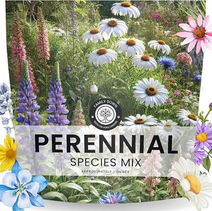 Perennial Species Mix - Large 1 Ounce Packet - 15,000 Flower Seeds for Planting - Wildflower Mix