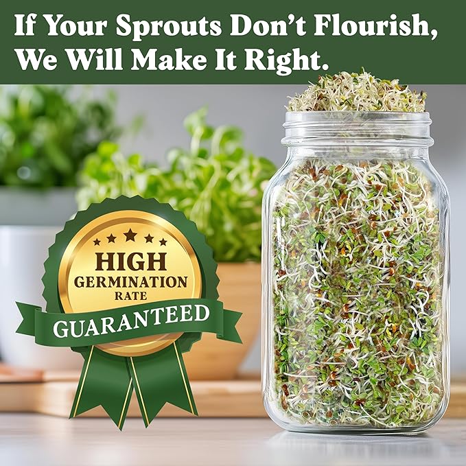 Seedboy Organic Non-GMO Alfalfa Seeds for Sprouting - Microgreens Sprouting Seeds - 8 oz Bag Makes 8 Quarts / 24 Servings (Alfalfa)