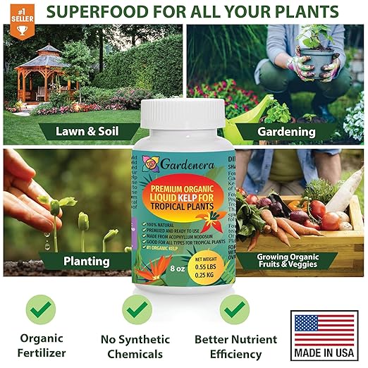 GARDENERA Premium Organic Seaweed & Kelp Superfood for Tropical Trees Plants - 32 oz - Liquid Kelp Fertilizer Concentrate (Makes 180 Gallons)