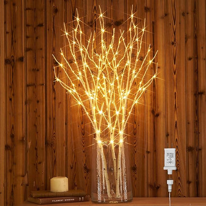 Hairui Lighted Birch Branches Plug in with Timer 30IN 150 LED Fairy Lights, White Willow Branch Lights for Christmas Fireplace Room Vase Decoration Indoor Outdoor Use (Vase Excluded)