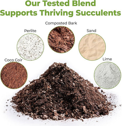 All Natural Succulent and Cactus Soil Mix by Perfect Plants | Made in The USA | 4 Quarts for All Succulent Varieties | Formulated for Proper Drainage