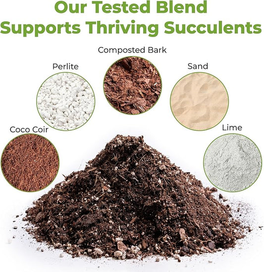 Succulent & Cactus Soil Mix by Perfect Plants (8QTS)