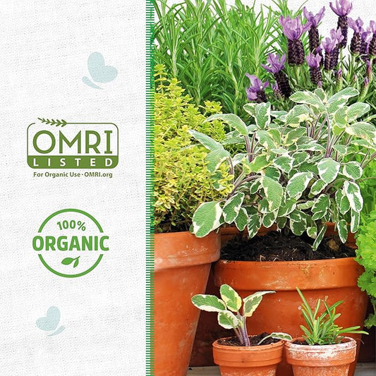 Back to The Roots 100% Organic Vermiculite (24 qt Value Pack) | Made in The USA | Premium Nutrition for Indoor and Outdoor Plants