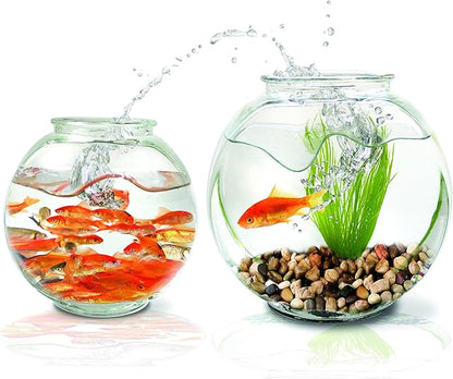 10lb Natural Decorative Polished Mixed Pebbles - Pebbles Polished Gravel，Small Decorative River Rock Stones for Fresh Water Fish Animal Plant Aquariums, Landscaping, Home Decor etc. (160-Oz Bag)