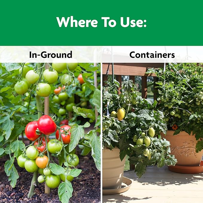 Miracle-Gro Shake 'N Feed Tomato, Fruit and Vegetable Plant Food, For In-Ground and Container Plants, Feeds up to 3 Months, 1 lb.