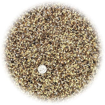 Premium 13-3-13 All-Season Fast Acting Landscape and Ornamental Fertilizer by Gardenera - Promotes Biomass Growth and Vibrant Leaf Color - 5 Quarts