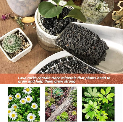 7lb Black Lava Rock for Plant, 1/8-1/4 inch Horticultural Volcanic Rock Soil for Decorative Landscaping Bonsai, Cacti, Succulents Plants Top Dressing for Release Excess Water