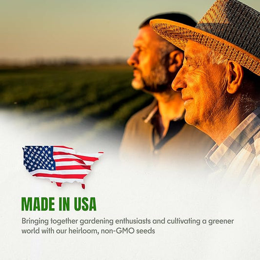 Fall & Winter Southern Giant Curled Mustard Seeds for Indoor & Outdoor Planting – 500+ Non-GMO Heirloom Spicy Green High Germination (Brassica juncea)