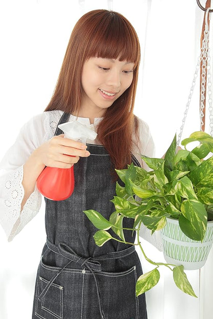 American Plant Exchange Marble Queen Pothos – Live 6-Inch Pot, Bright Green Trailing Vine, Easy-Care Air Purifying Houseplant for Hanging Planters, Shelves & Indoor Home or Office Décor