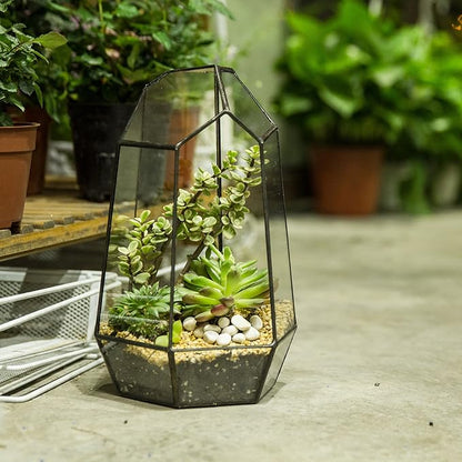 NCYP Geometric Glass Terrarium Planter for Succulent, Small Cacti, Black Irregular Opened Container Pot, Indoor Home Garden Office Tabletop Decor, 6.5" x 5.7" x 9.8" (No Plants, No Door)