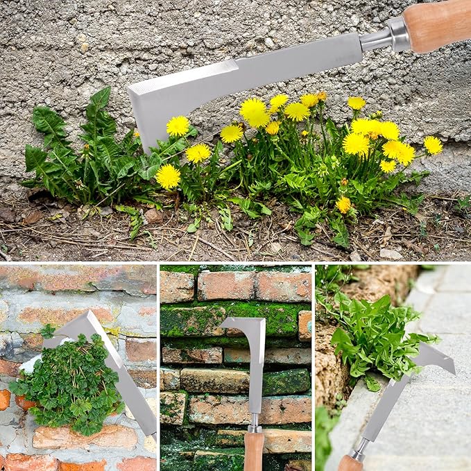 Effective Sidewalk Crack Weeder Tool -Manual Crack Weeder Weed Remover Tool for Garden Yard - L-Type Stainless Steel Weed Crevice Tool