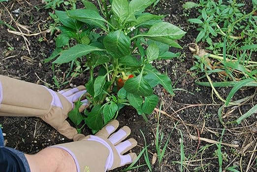 Magid Glove & Safety Professional Rose Pruning Thorn Resistant Gardening Gloves with Long Forearm Protection for Women (BE195TS) - Puncture Resistant, Small (1 Pair)