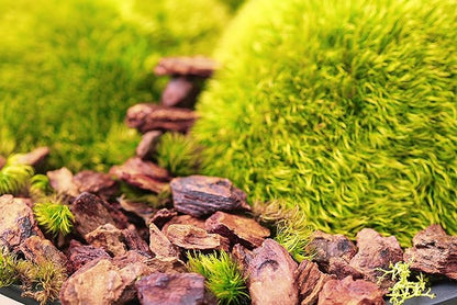 SuperMoss (23202) Orchid Potting Bark, Natural, 2oz