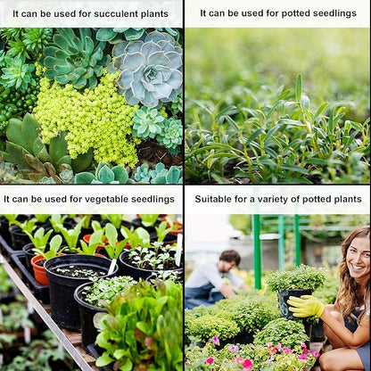 Augshy 50 Pcs 0.5 Gallon Black Plastic Plant Nursery Pots 6 Inches Seed Starting Pots Containers with 50 Labels