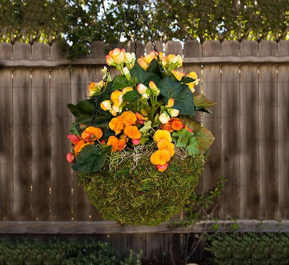 SuperMoss (29202) MossWeave Hanging Basket - Round, Fresh Green, Small (12.5 Diameter)"